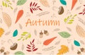 Autumn illustration. Acorns, mushrooms, autumn leaves. Orange themed autumn illustration.